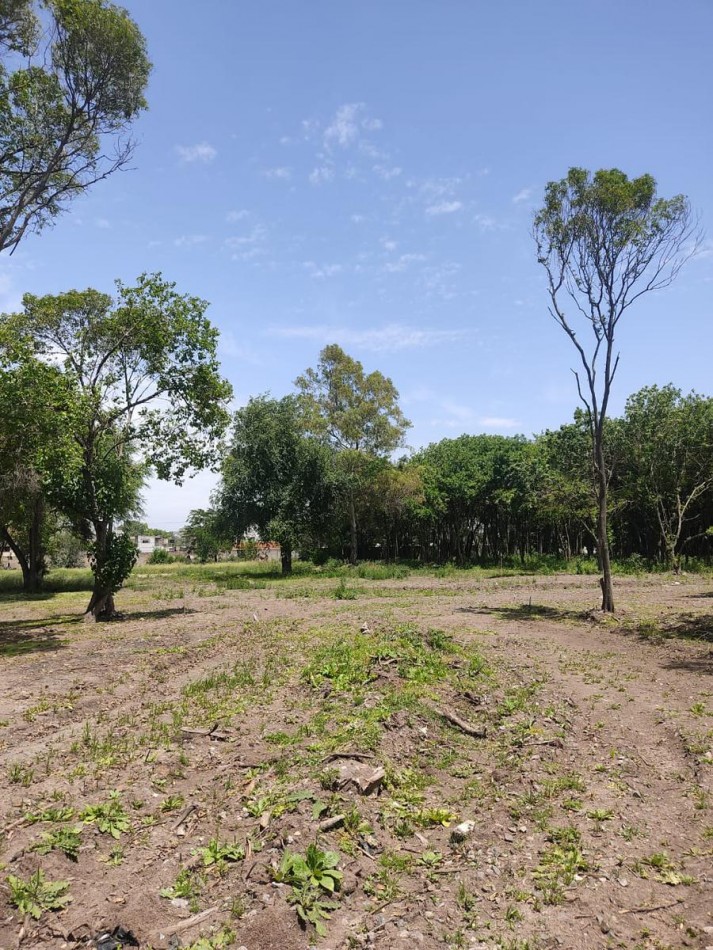 LOTE EN VENTA EN PABLO NOGUES!!!