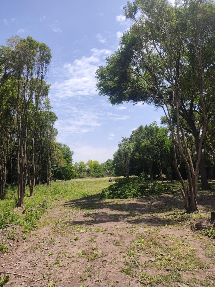 LOTE EN VENTA EN PABLO NOGUES!!!