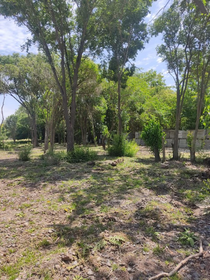 LOTE EN VENTA EN PABLO NOGUES!!!