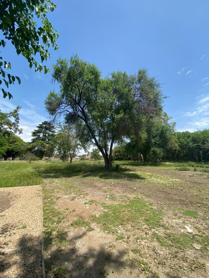 LOTE EN VENTA EN PABLO NOGUES!!!