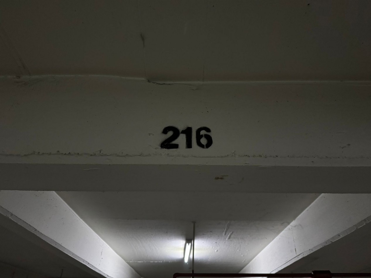 DEPARTAMENTO EN ALQUILER EN MUÑIZ