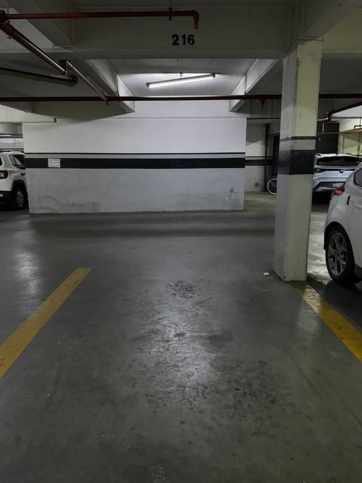 DEPARTAMENTO EN ALQUILER EN MUÑIZ