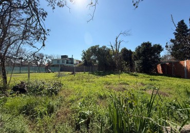 TERRENO EN VENTA EN MUÑIZ.